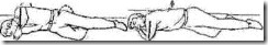 clip_image029