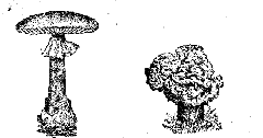 clip_image023