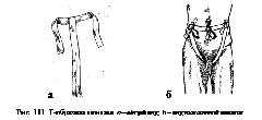 clip_image036