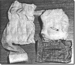 clip_image006