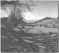 clip_image016